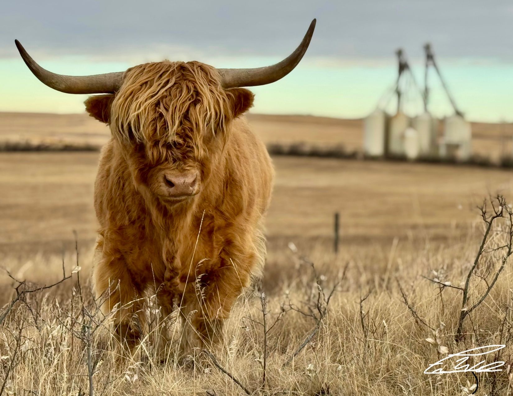 Success Story: Waverley Ranch — Building a Life Rooted in Purpose